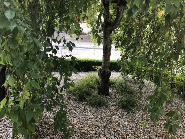 A&B Casa Blanca Apartman Hotel Wettingen Zewnętrze zdjęcie